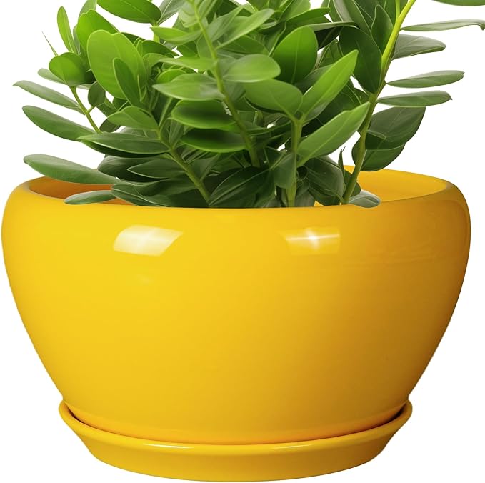 Indoor Planter 11 Inch by Ceramicfor