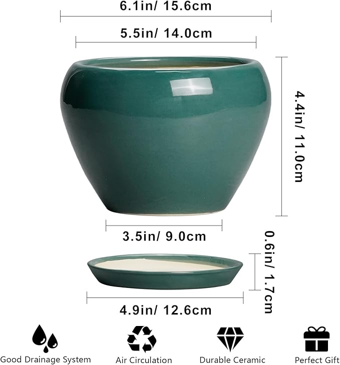 Indoor Plant Pot 6 Inch - Image 3