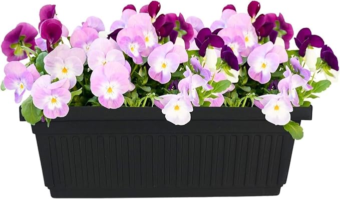 23.5 Inch Terra Roma Rectangular Window Planter Box - Image 3