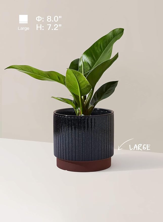 LE TAUCI Ceramic Plant Pots - Image 3