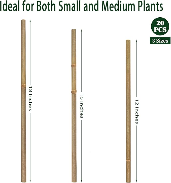 Plant Stakes, 16 Inches Natural Garden Bamboo Sticks, BOVITRO 20Pcs Plant - Image 2