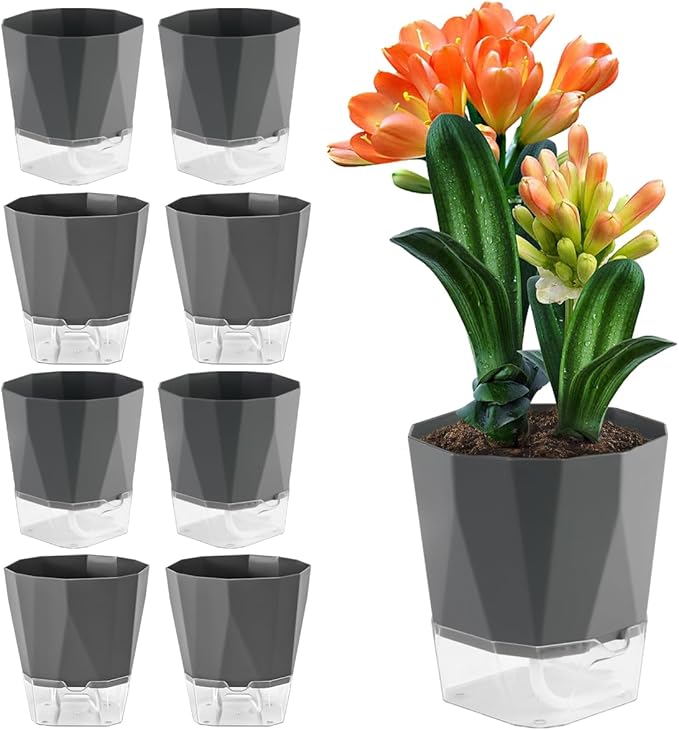 6 Pack Self Watering Plant Pots 8.4" Self Watering Planters by Planterhoma