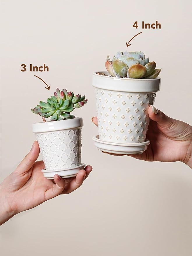 LE TAUCI 3 Inch Mini Succulent Pots - Image 6