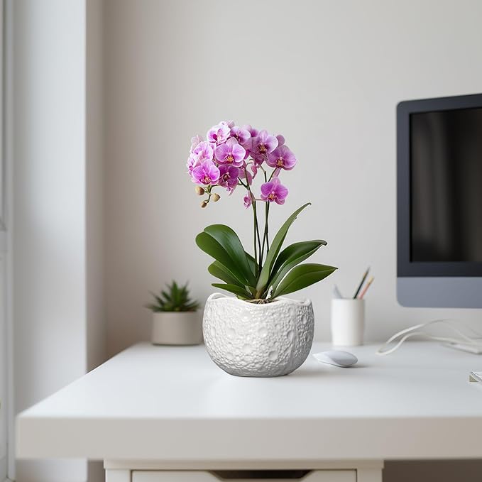 Ceramic Pots for Plants - Image 5