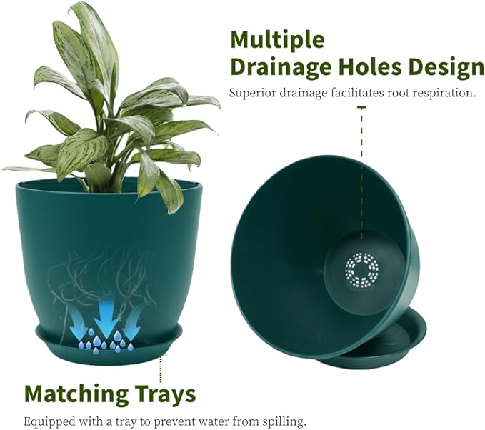 Plant Pots 8 Inch Set of 6, Flower Pots - Image 3