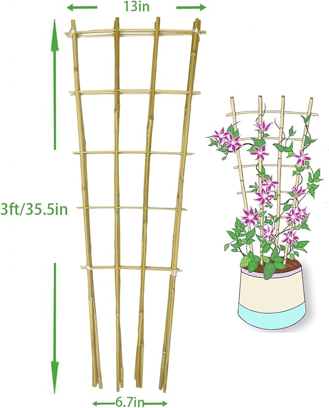 Natural Bamboo Trellis, Fan-Shaped Plant Support Trellis - Image 2