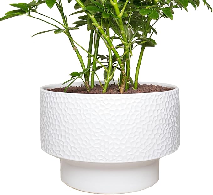 13 Inch Ceramic Plant Pots, Planter Pot by Fzfeiyy