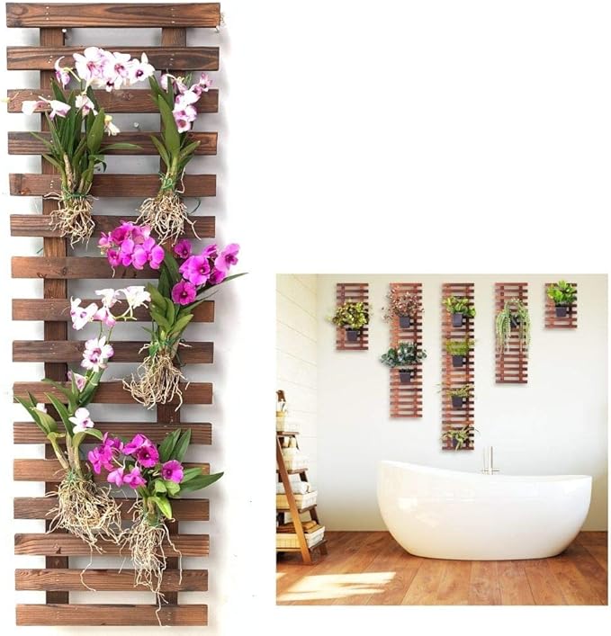 ShopLaLa Wall Planter by ShopLaLa