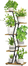 iDavosic.ly 5 Tier Indoor Plant Stand, Corner Tall Metal & Wood Flower Shelf by iDavosicly