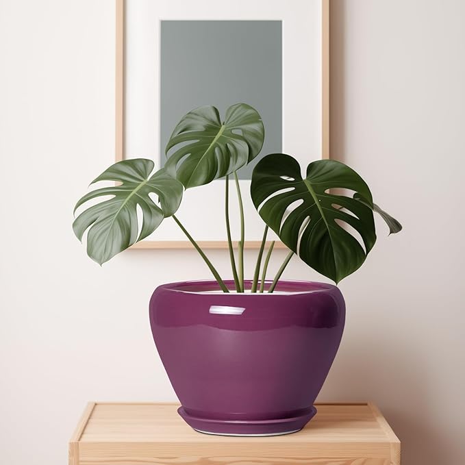 10 Inch Plant Pot - Image 7