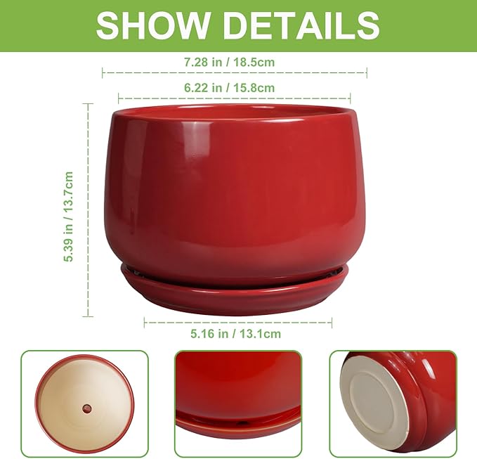 G EPGardening Ceramic Planter 7 Inch - Image 3