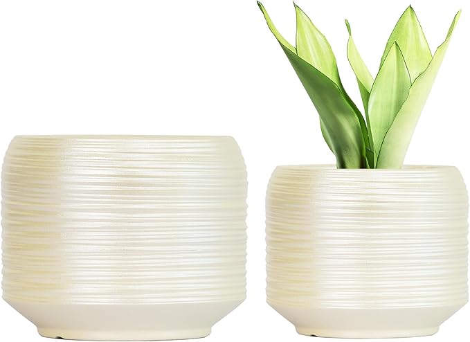 8 Inch + 6 Inch Ceramic Plant Pots Indoor by Bestseler