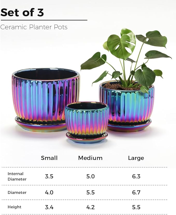 Ton Sin Flower Pots, Small Glazed Succulent Pots - Image 2