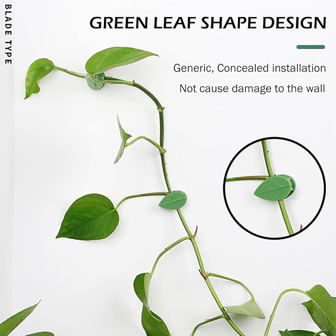 60 Pcs Plant Climbing Wall Fixture Clips Self-Adhesive Hook Vines Traction - Image 4