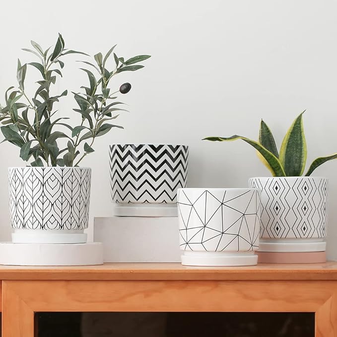 Ton Sin Plant Pots, 5.5 Inch White Pots - Image 3