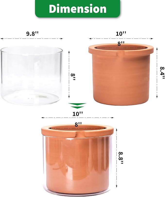 Phoenix Vine 8 Inch Self Watering Planter Pots, Design White Terracotta Pots - Image 2