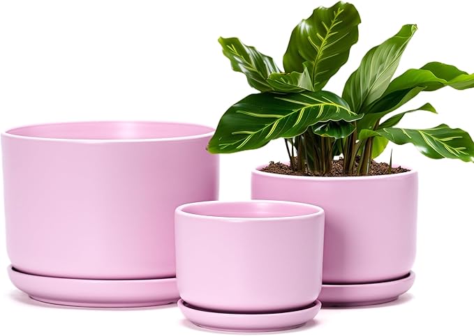 Ton Sin Pink Flower Pots, Ceramic Planter Pot by TonSin