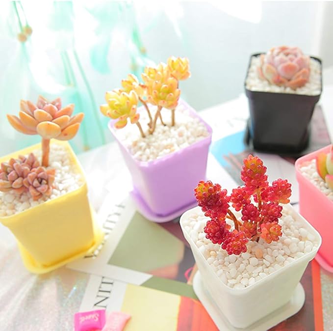 Anyumocz 24 Pack Plastic Square Nursery Pots 3 Inch Plastic Plant Pots - Image 7