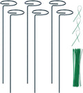 6PCS Single Stem Plant Support Stakes, 16 Inch Monstera Plant Support by Numyew