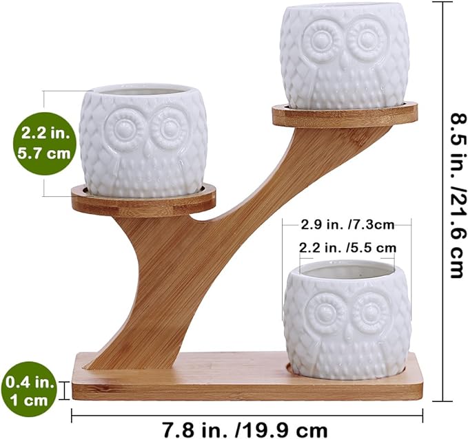 3pcs Owl Succulent Pots with 3 Tier Bamboo Saucers Stand Holder - Image 6