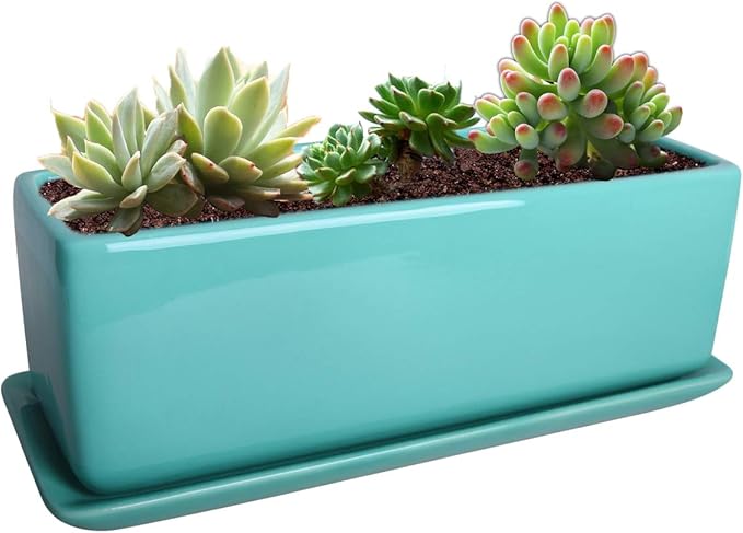 Vencer 12 Inch Rectangular Modern Minimalist Ceramic Succulent Planter Pot by Vencer