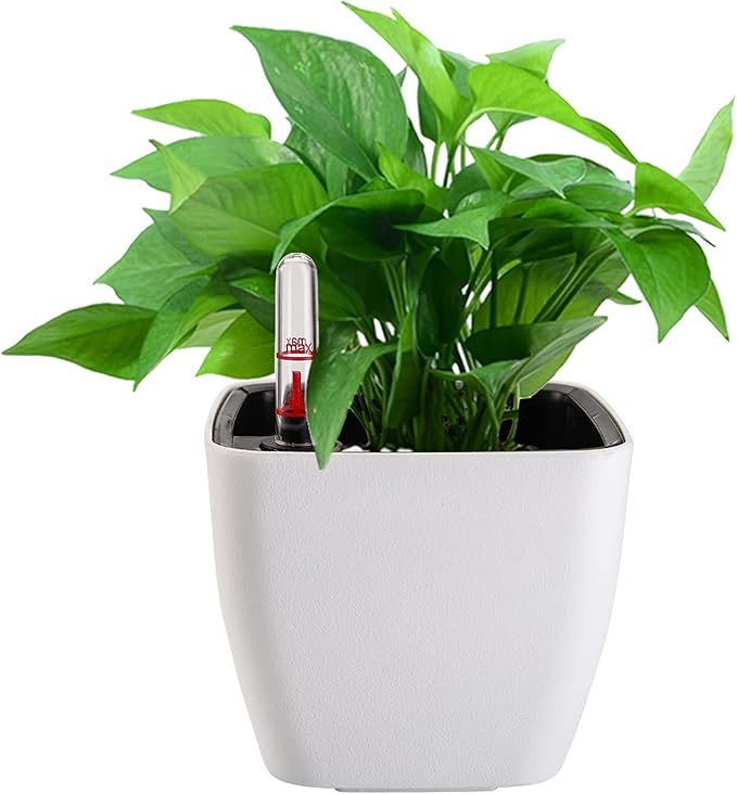 yarlung 6 Pack Self Watering Planter - Image 6
