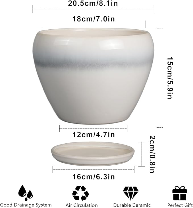 Ceramic Planter - Image 3