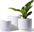 LE TAUCI Ceramic Pots for Plants, 8+6.7+5.5 Inch Plant Pots Indoor, Flower Pot by LETAUCI
