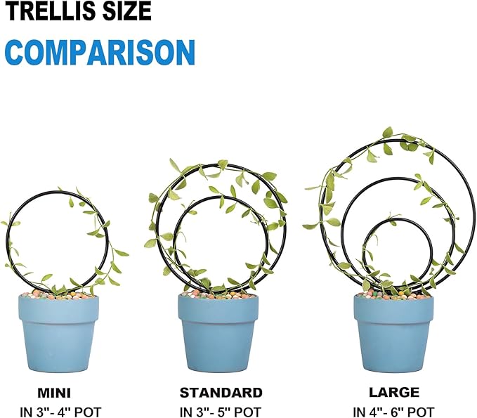 Hoya Trellis Set of 3 Round Climbing Plant Supports - Image 2