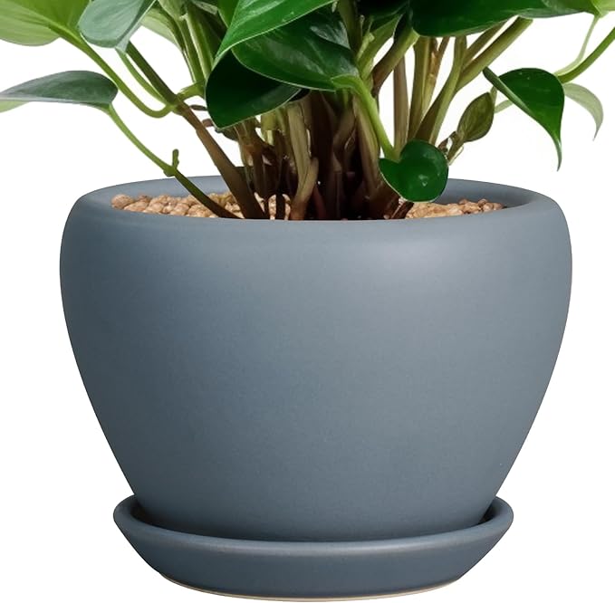 Ceramic Pot for Plants by Ceramicfor