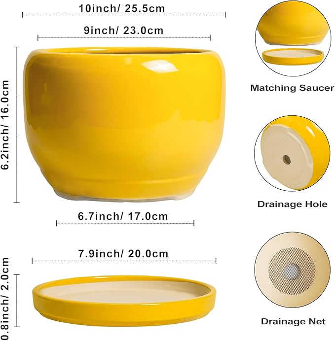 SQOWL 10 Inch Plant Pot - Image 3