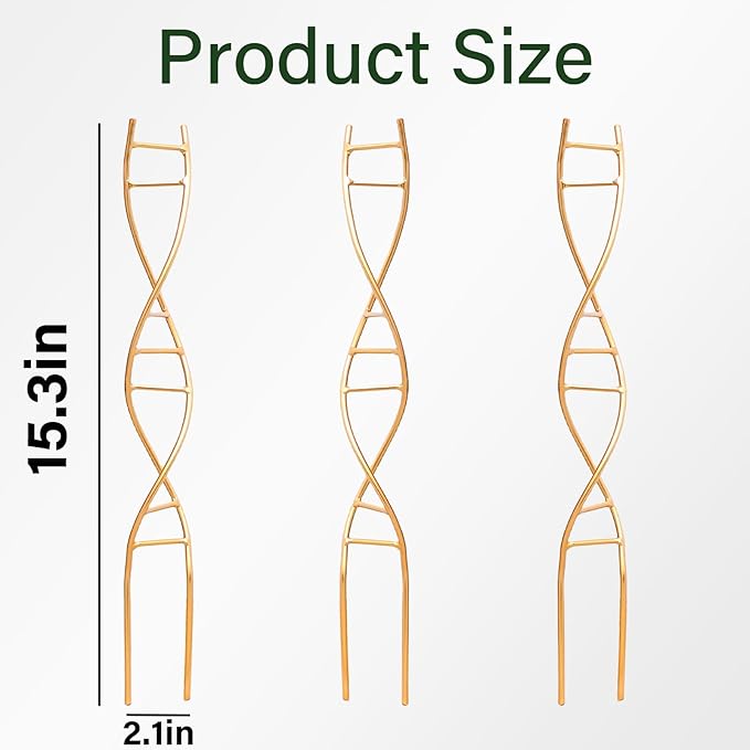 Indoor Plant Trellis for Potted Plants - Image 2