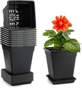 6 inch Plant Pots, 10 Pack Flower Pots Outdoor Indoor, Square Plastic Planter by BTPLASTIK