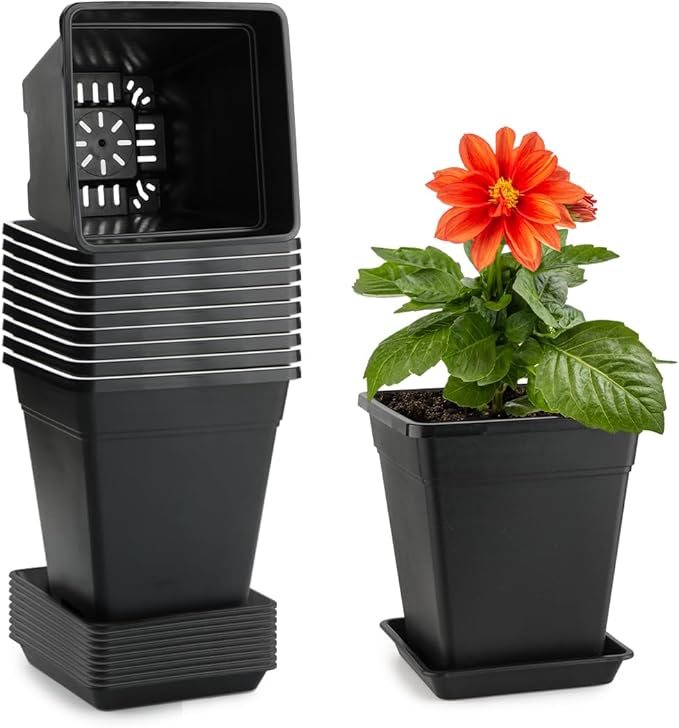 6 inch Plant Pots, 10 Pack Flower Pots Outdoor Indoor, Square Plastic Planter by BTPLASTIK