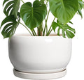 SQOWL Ceramic Pot for Plants by SQOWL