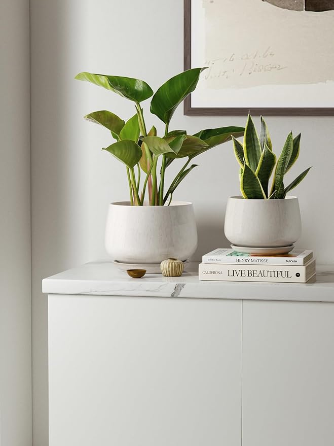 LE TAUCI Plant Pots, 4.1+5.1+6.5 inch, Ceramic Planters - Image 7