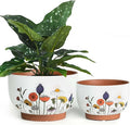 YBX 8 Inch & 6 Inch Terracotta Plant Pots, Flower Pots by YBXYIBOXUAN