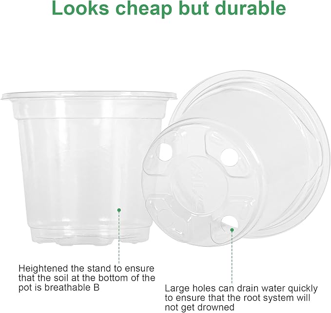MIXC Clear Plant Nursery Pots - Image 5
