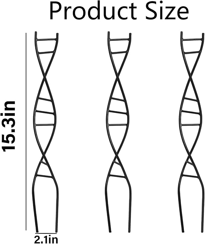 DNA Spiral Plant Trellis Indoor - Image 2