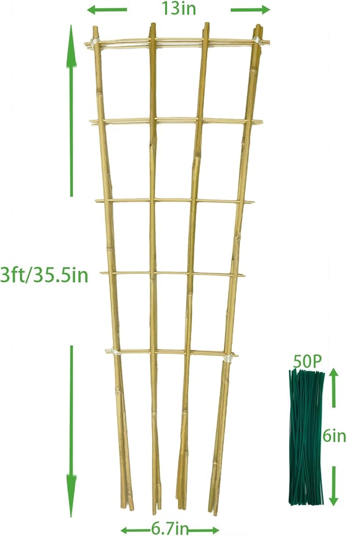 Natural Bamboo Trellis, Fan-Shaped Plant Support Trellis - Image 8