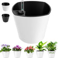 7 inch Plant Pots 6-Pack, Self Watering Flower Pots Indoor Outdoor, African by GsGardenSpecialty