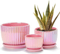 Ton Sin Pink Gold Ceramic Flower Pots, Modern Indoor Decorative Plant Pots Set by TonSin