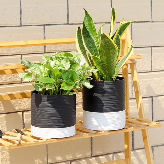 Nihow Ceramic Plant Pot: 6 Inch Planter - Image 6
