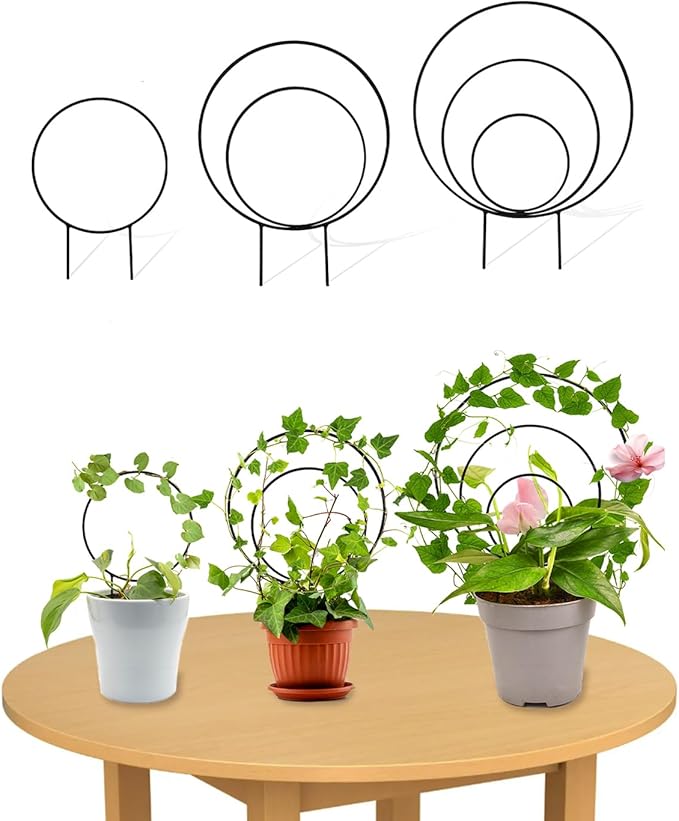 3 Pcs Unique Round Hoya Garden Trellis, Different Small Houseplant Trellis by Unknown