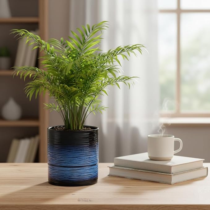 Nihow Self Watering Plant Pot: 6 Inch Ceramic Planter - Image 2