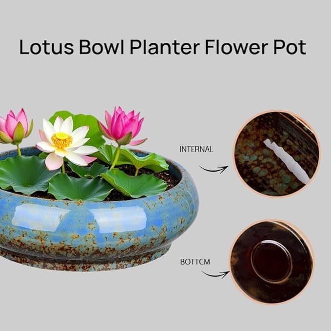 7.3 Inch Succulent Planters Pots Shallow Ceramic Glazed Planter Pots, Lotus - Image 4