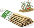 Bamboo Stakes, 4.8FT Natural Bamboo Garden Stakes, BOVITRO 20Pcs Plant Stakes by BOVITRO