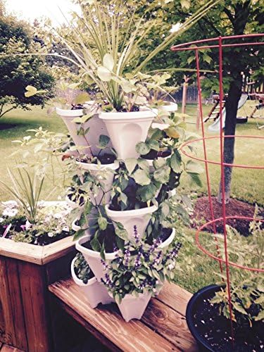 Mr. Stacky 5 Tiered Vertical Gardening Planter, Indoor & Outdoor - Image 2
