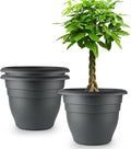 3 Pack Large 16 Inch Plastic Plant Pots by RooTrimmer