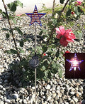 Entertainment House Solar Garden Stake Lights by Ntertainment+House